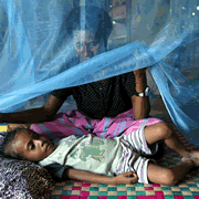 マラリア予防蚊帳